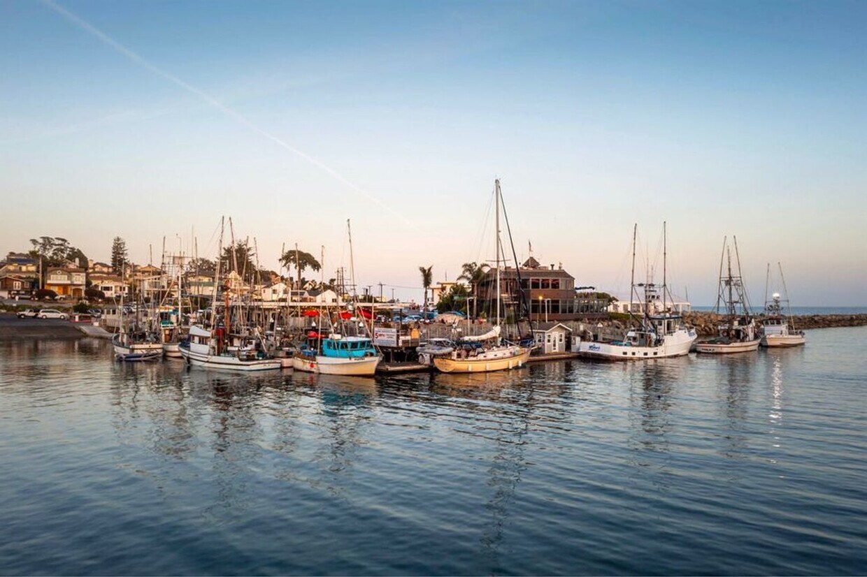 Building Photo - Views of the Santa Cruz Harbor from Your L...