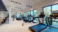 This well-appointed fitness center in Largo, Florida, offers a comprehensive workout environment spread across a single floor with distinct functional zones. The main cardio area is lined with large black-framed windows that flood the space with natural light and offer views of the surrounding lush greenery, creating an energizing atmosphere. A full row of modern treadmills, ellipticals, rowing machines, and stationary bikes with interactive screens lines the perimeter, ideal for sustained cardiovascular training. Adjacent to the cardio zone, a strength training section houses a variety of cable machines, weight benches, and a rack system with free weights. A dedicated free weights area features a full dumbbell rack set against floor-to-ceiling mirrors, complemented by warm hardwood flooring and oversized sliding glass doors that open to outdoor views. The reception and service counter area features light wood cabinetry beneath a dramatic navy blue ceiling with recessed linear lighting, adding a contemporary design contrast. Throughout the facility, textured white paneled ceilings with track lighting provide consistent, well-distributed illumination. Vibrant athletic artwork adorns accent walls, contributing to the motivating ambiance. The overall design balances functionality with modern aesthetics, creating a welcoming and professional fitness environment.