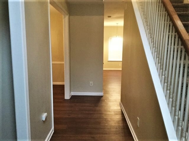 Building Photo - 3846 Pauline Ln