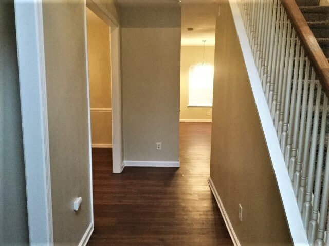 Foto del edificio - 3846 Pauline Ln