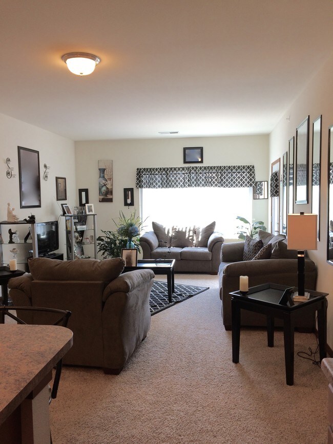 Cedar River Bluffs Apartments Cedar Rapids, IA