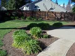 Building Photo - 2121 Shady Ct