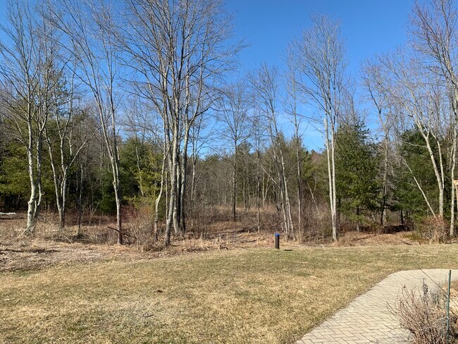 Backyard - 185 Pierce Rd