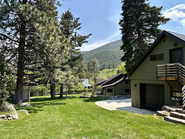 Building Photo - 1974 Oro Fino Gulch