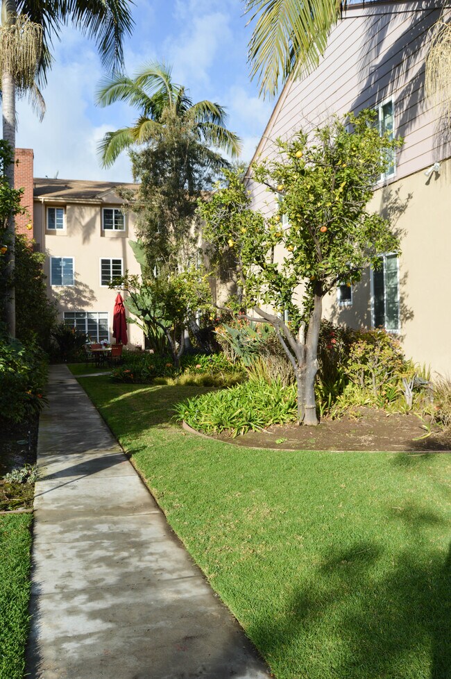 Building Photo - 503 Avondale Ave