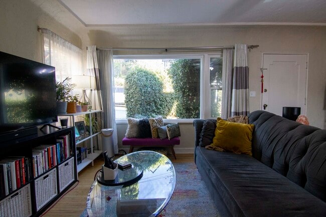 view outside from living room toward street - 1119 Princeton Dr