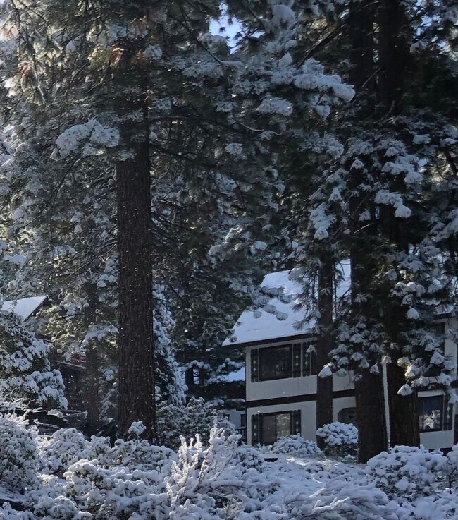 Foto del edificio - Winter Lease - Less than a mi to Diamond Peak (2 Bedroom plus Loft)