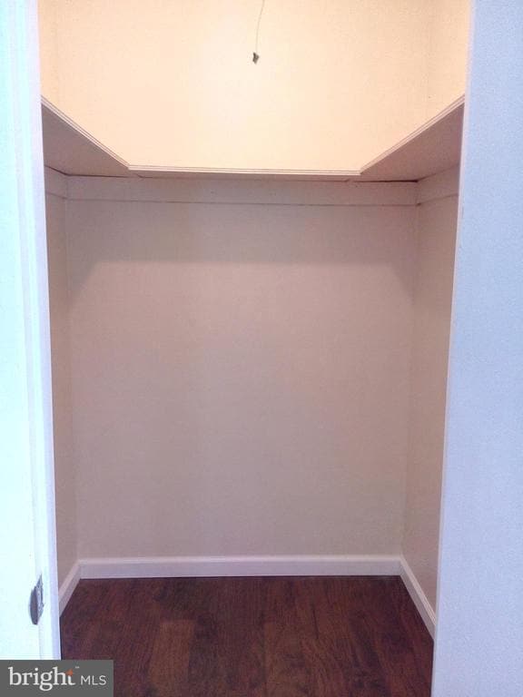 Foto del edificio - 313 Carleton Ln