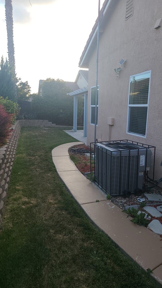 Backyard - 770 Alcantar Cir