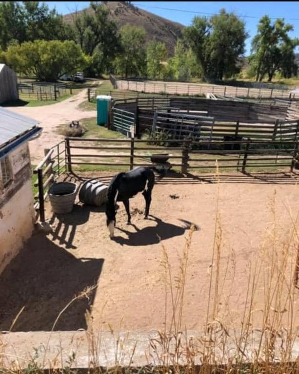 Building Photo - 8400 W County Rd 18E