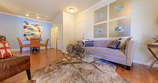 Parkway Grande Living Room Area, San Marcos, Texas - Parkway Grande Apartment Homes