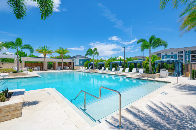 Swimming Pool - Vue at Belleair