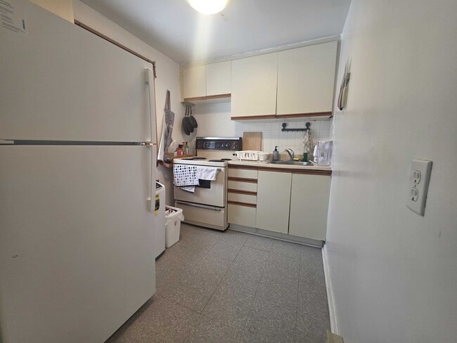 Building Photo - 558 Albert St