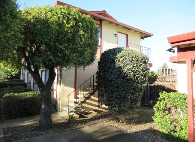 Foto del edificio - 2149 Mount Diablo St