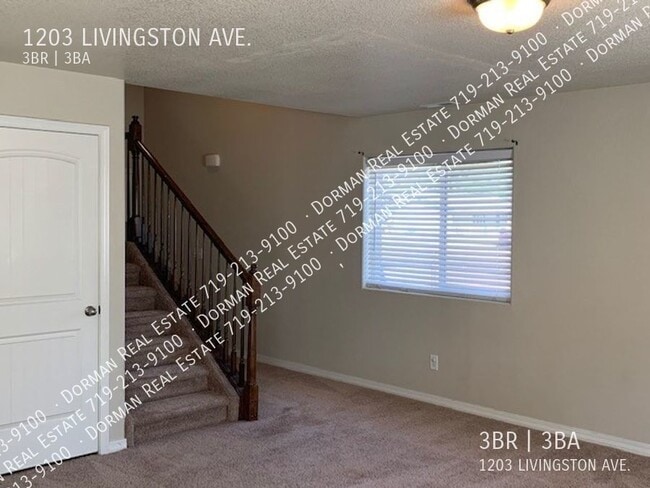 Photo - 1203 LIVINGSTON AVE.- House