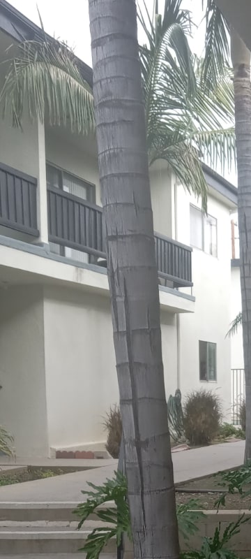 Photo - 10726 Orange Grove Ave Apartment