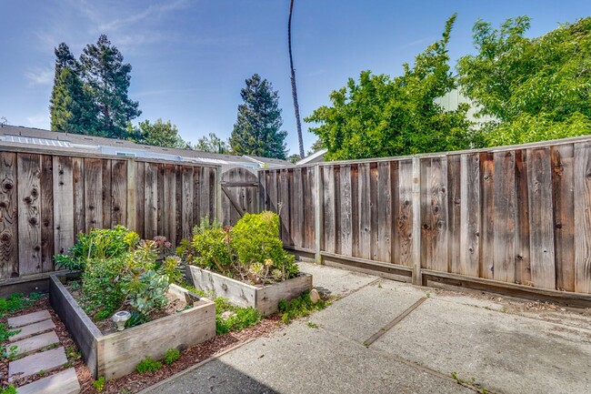 Building Photo - Spacious 3BR 1.5BA townhouse in Mountain View