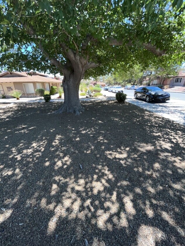 Primary Photo - Tucked away 3 bedroom 2 bath located on 1s...