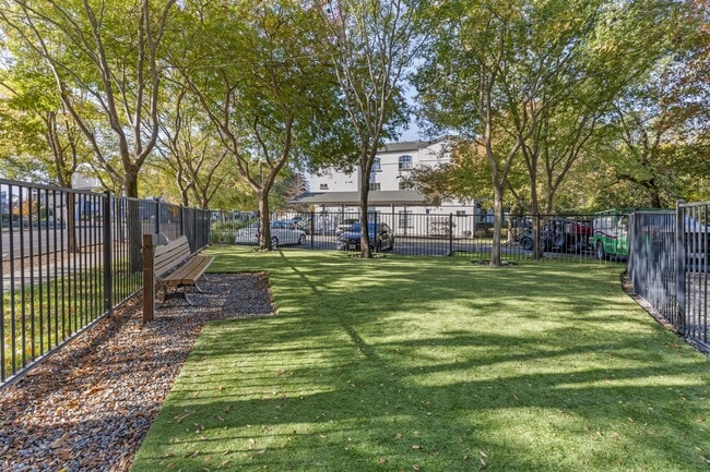 Nuestro parque para perros recientemente renovado ya está abierto, con césped nuevo y mucho espacio para que sus amigos peludos jueguen y socialicen. - Renaissance Apartment Homes