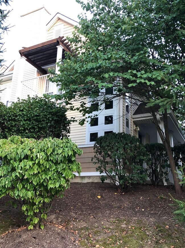 249 Old Farm Dr Unit 249, Great Meadows, NJ 07838 Condo for Rent in