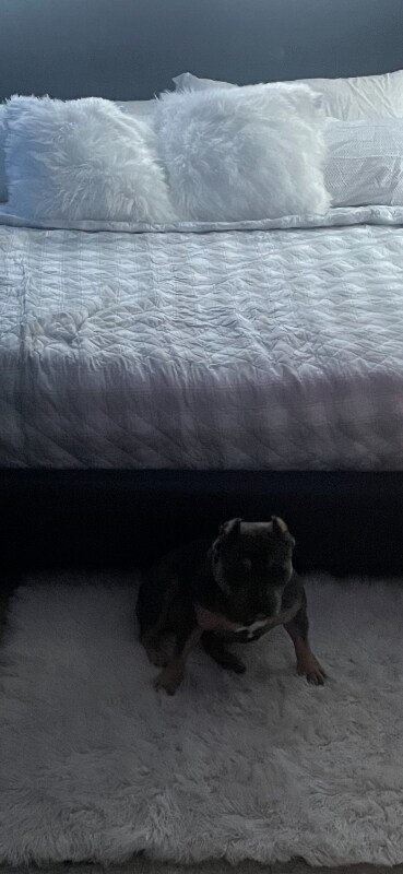 Building Photo - 611 Gordon Ave