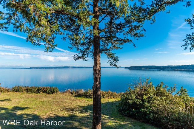 Foto del edificio - 3 br, 2 bath House - 982 Scenic Heights Road