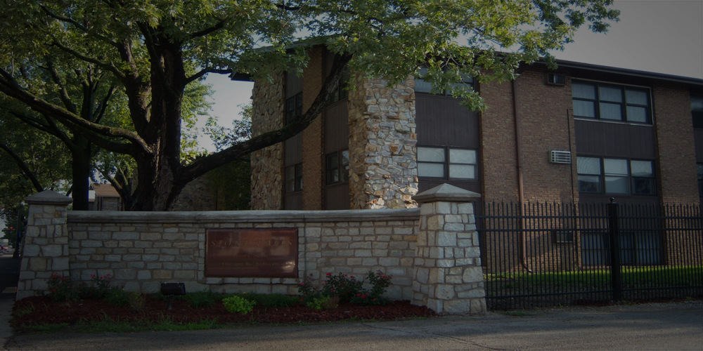 Street View - Stone Falls