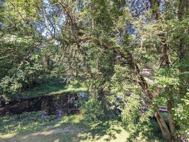 Foto del edificio - Charming 1 Bedroom Apartment w/ Deck Overl...
