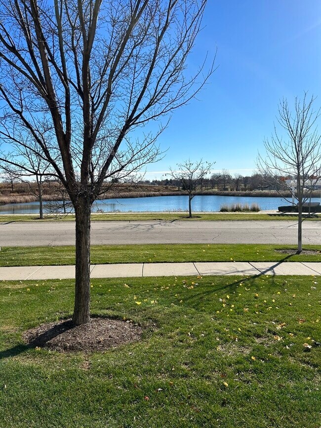 Building Photo - 9975 Williams Dr