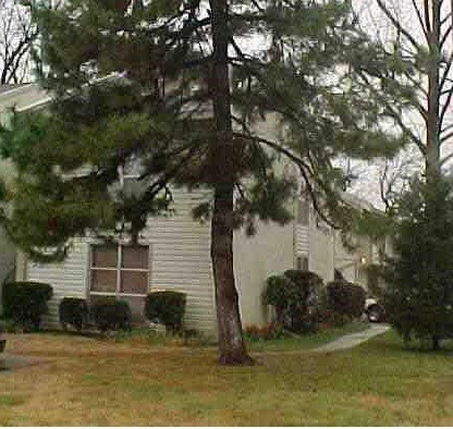 Building Photo - 816 Cardinal Creek Blvd