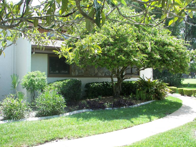 Foto principal - 7120 Cognac Dr