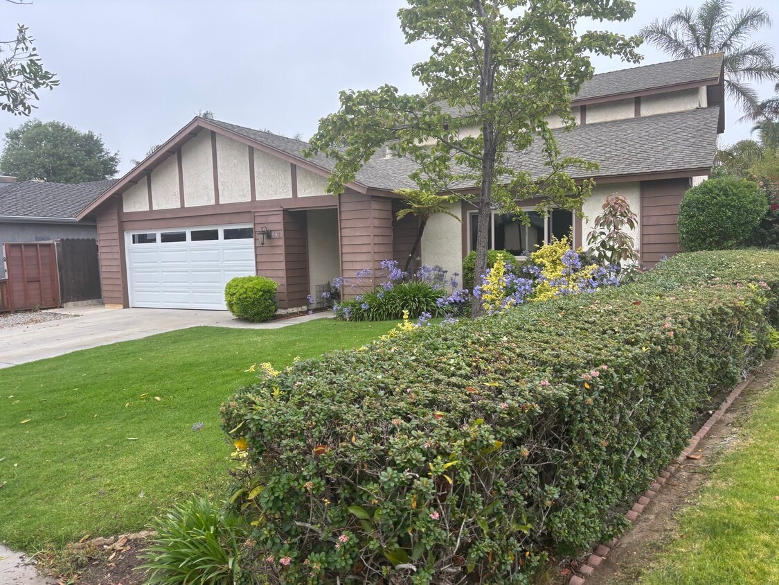 Street view - 830 Stern Ln