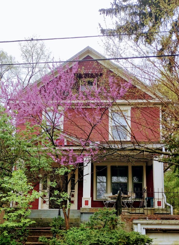 Foto del edificio - 20 Greenwood Ave