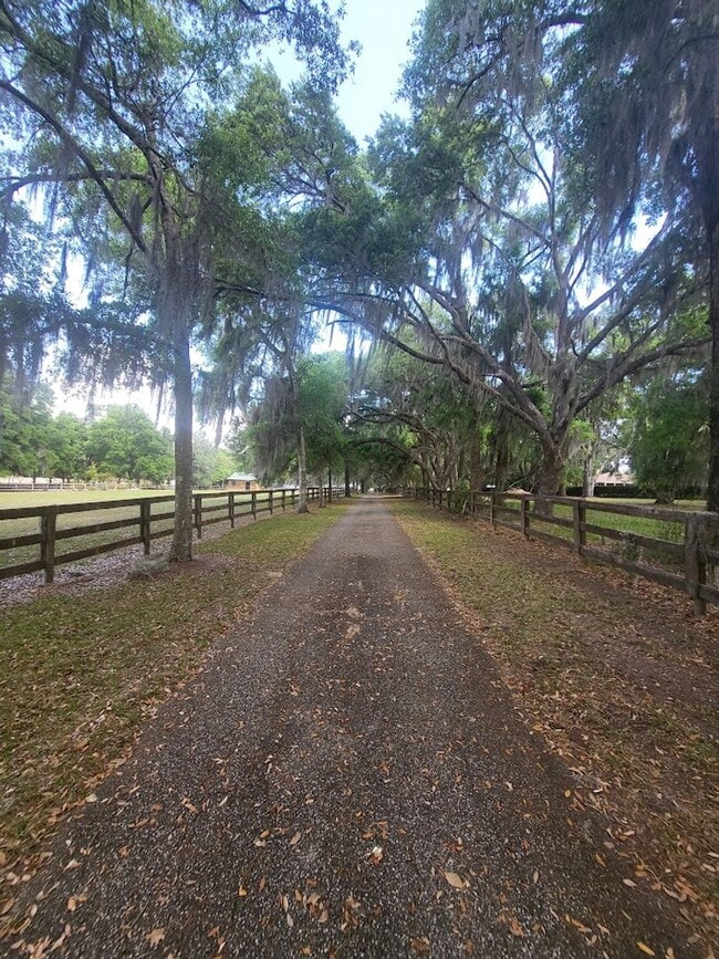Foto del edificio - Little Lake Weir Waterfront FENCED 3BR/2BA on 6 Acres with Horse Barn, Private Boat Ramp & Dock