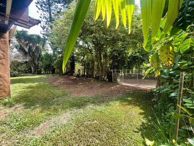 Foto del edificio - 6280 Hana Hwy