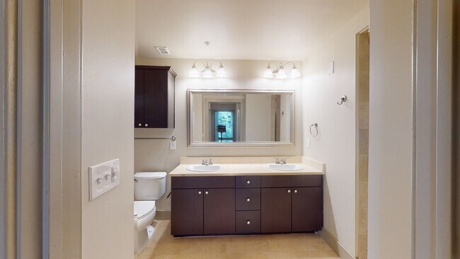Interior Photo - Domain College Park