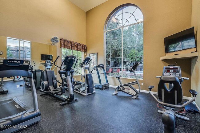 Fitness - 1500 E Pusch Wilderness Dr