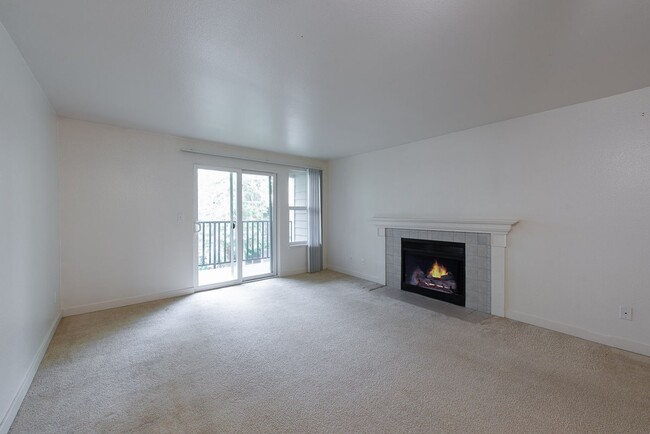 Interior Photo - Martine Apartments