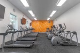 Located at 1050 Summerside Dr in San Jose, CA, this fitness center offers a generously sized, single-floor exercise facility designed to accommodate a wide range of workout needs. The space is thoughtfully organized into distinct cardio and strength training zones, providing ample room for members to move freely between equipment.

The cardio area features a long row of treadmills and stationary bikes, all arranged along one side of the room to maximize open space and traffic flow. Elliptical machines are also available, positioned to complement the other cardio offerings. Overhead, rows of flush fluorescent lighting illuminate the entire floor evenly, creating a bright and energizing atmosphere throughout.

The strength training zone is set apart with a distinctive checkerboard floor pattern in gray and golden yellow, adding a bold visual element that energizes the area. This section is equipped with cable machines, weight benches, barbells, and a variety of free weights, supported by large wall-mounted mirrors that allow users to monitor their form.

A striking feature of the space is a vivid yellow accent wall adorned with an angular, geometric white line design, adding a modern and dynamic aesthetic to the room. Wall-mounted televisions are positioned throughout for entertainment during workouts. The facility also includes an accessible entry ramp, ensuring the space is welcoming to all users. Carpet tile flooring in a gray tone covers the cardio area, providing comfort underfoot.