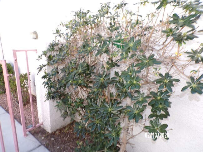 Foto del edificio - Cute Home