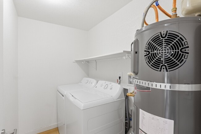 Interior Photo - The Finch Apartments