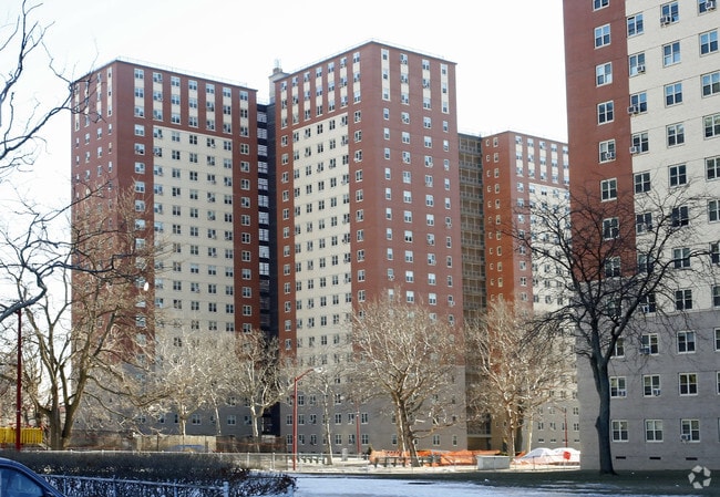 luna park apartments brooklyn ny apartments com