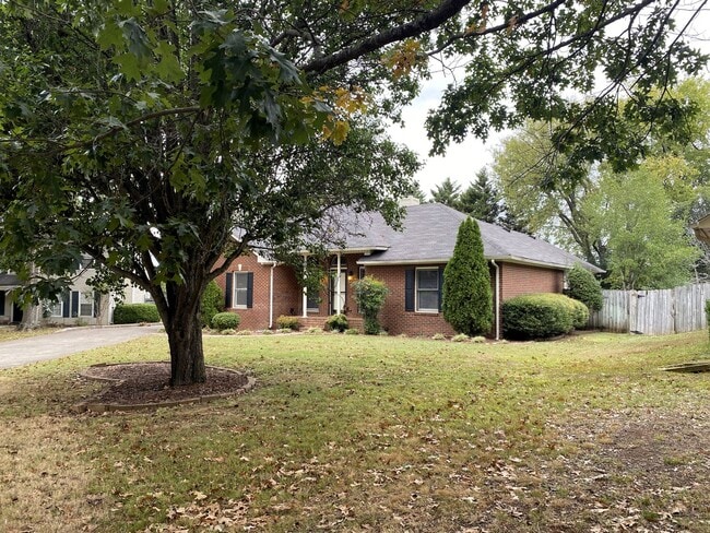 Foto del edificio - Coming Soon!