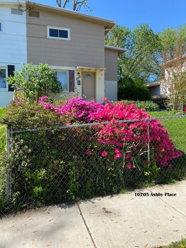 Front Yard - 10705 Ashby Pl