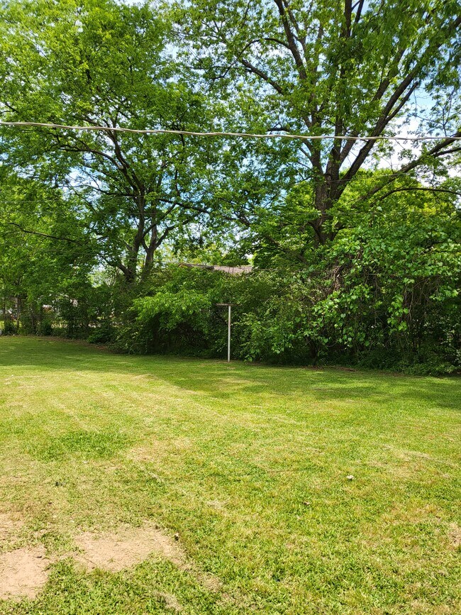Back yaRD - 920 Parklane St NW