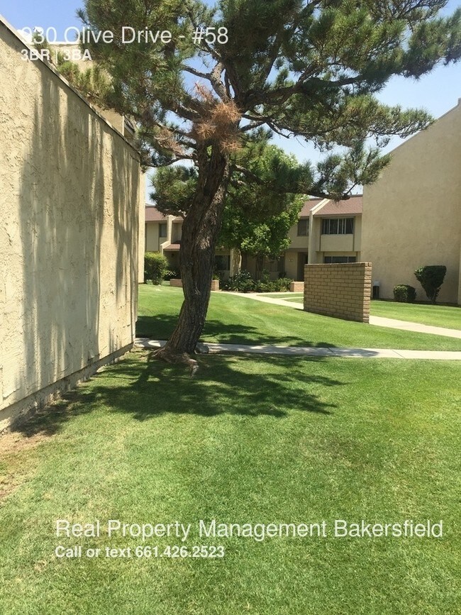 Building Photo - 930 Olive Dr