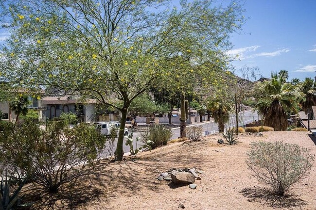 Building Photo - Spacious Phoenix Apartment