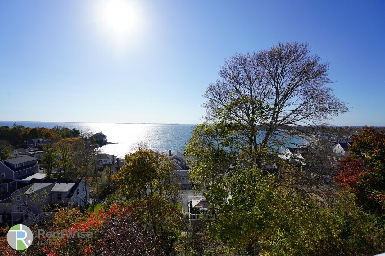 Foto del edificio - 297 Nahant Rd