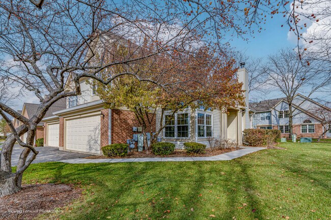Building Photo - 149 White Branch Ct N