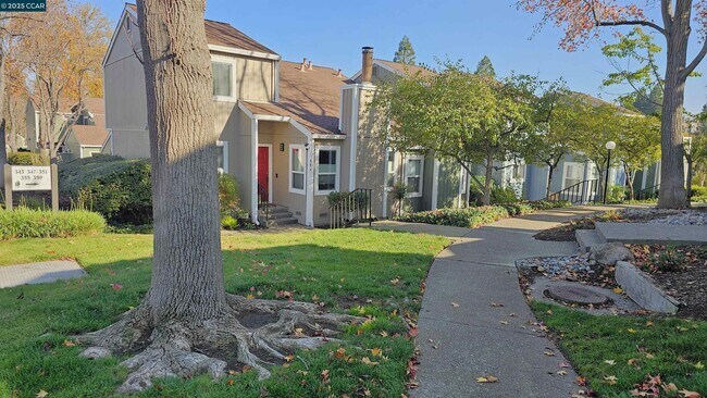 Foto del edificio - 347 Scottsdale Rd